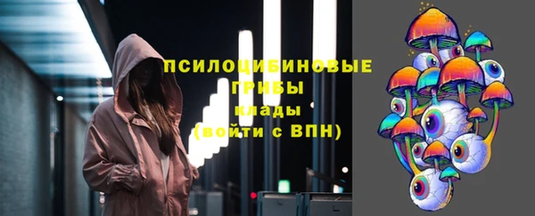 гашик Беломорск
