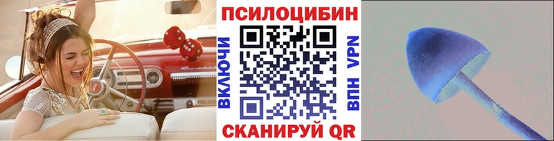 Купить закладки  Железногорск  Галлюциногенные грибы мухоморы 