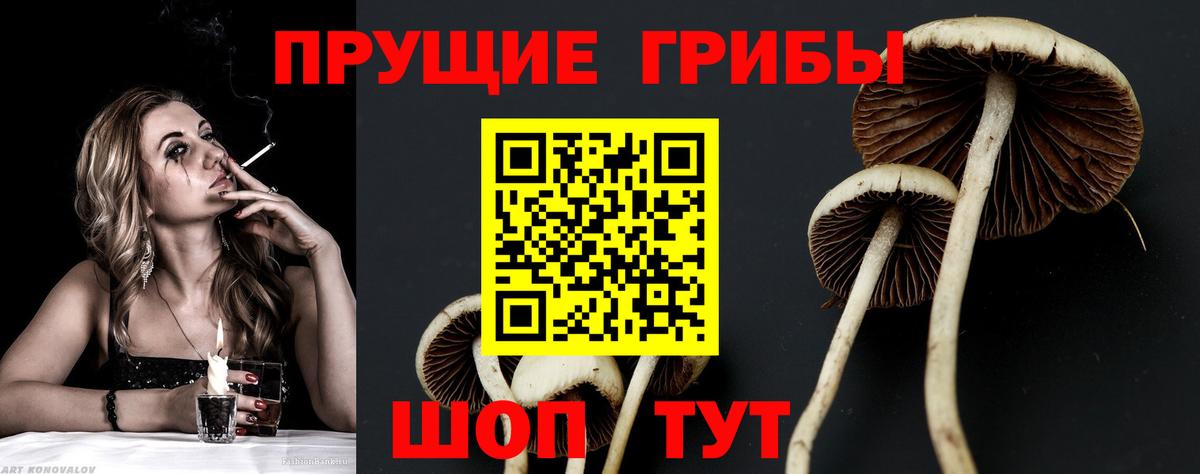 Галлюциногенные грибы MAGIC MUSHROOMS Железногорск