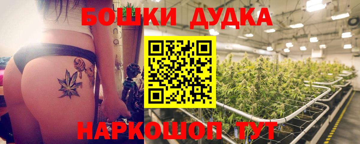 Бошки Шишки MAZAR  Конопля сатива  Канабис планчик  Железногорск  Вход с VPN 